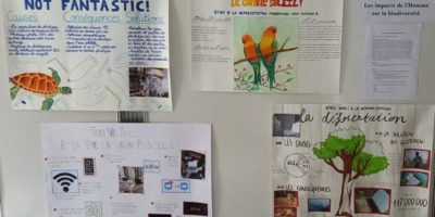 photo1