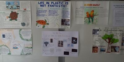 photo5
